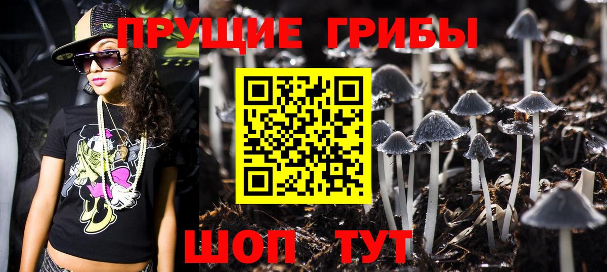 где продают наркотики  Вход с VPN  Кирово-Чепецк  Псилоцибиновые грибы ЛСД 